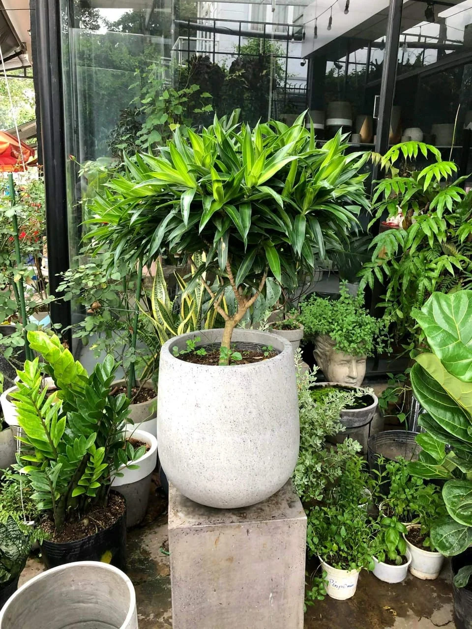 Planter pot Garden Supplies High Quality Top New Intems direct factory clay color finishing wholesale garden concrete