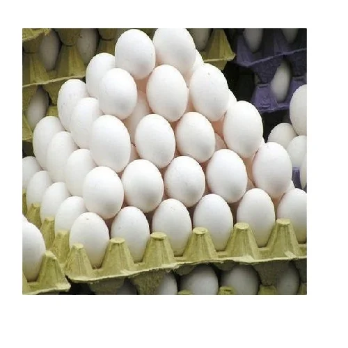 High Quality Wholesale Fertile Hatching Chicken Egg/