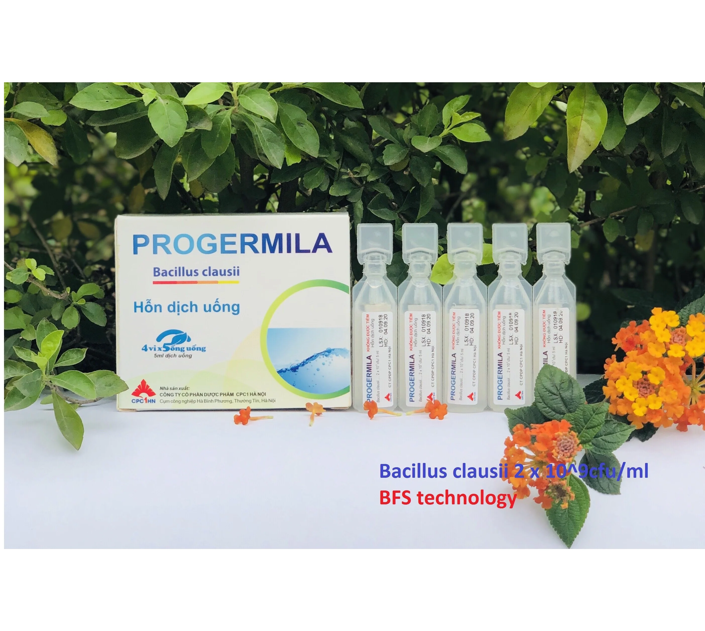 
Oral Liquid for Diarrhear human Health supplement Best price Sterile BFS technology Bacillus Clausii Probiotic 