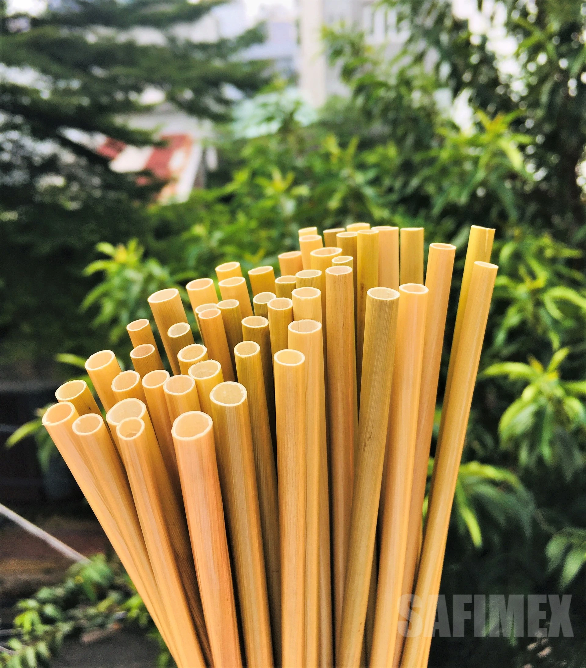 DISPOSABLE GRASS DRINKING STRAWS FOR ALTERNATIVE TO PLASTIC STRAW HIGH QUALITY BEST PRICE
