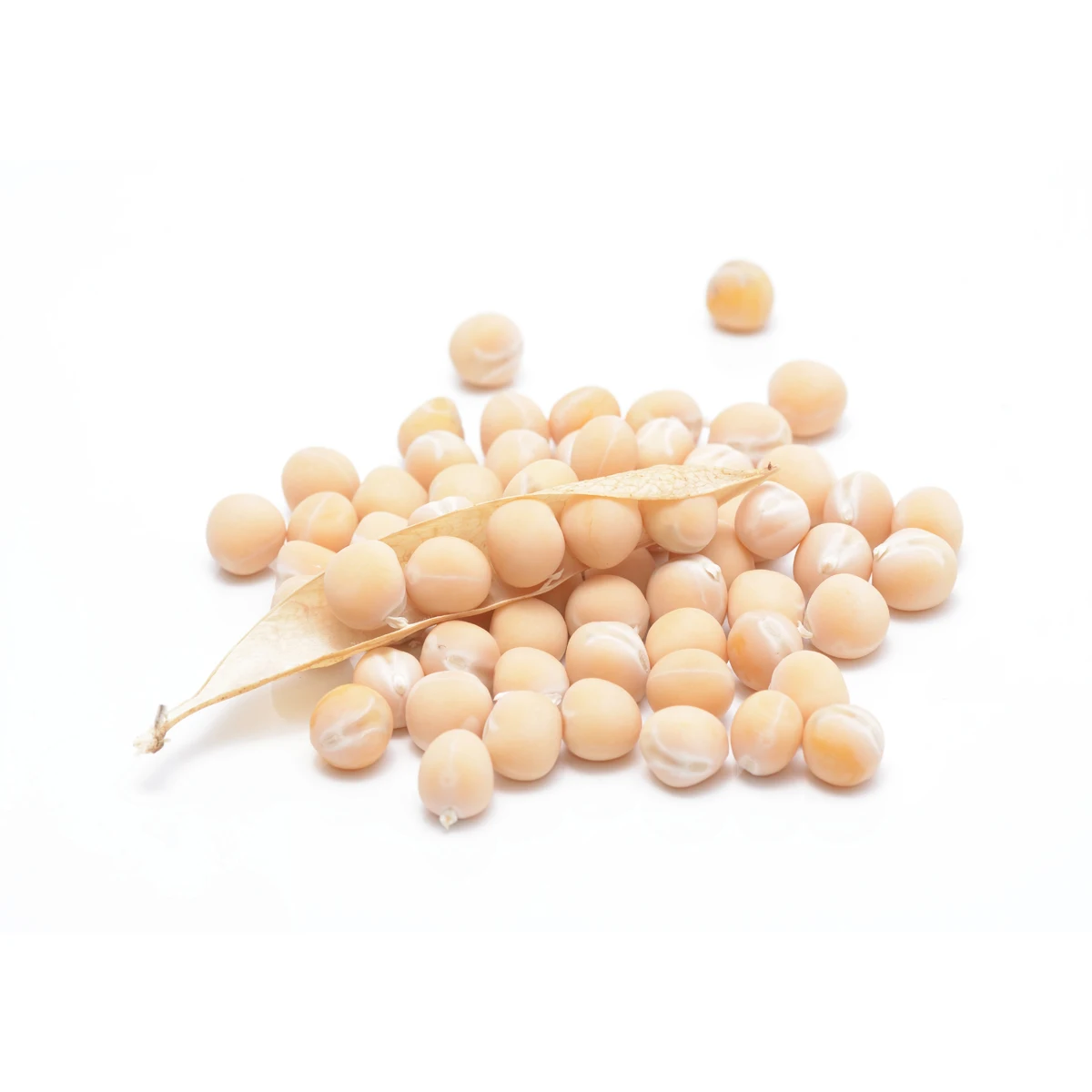 
Good quality yellow peas in bulk dried whole, pea protein 