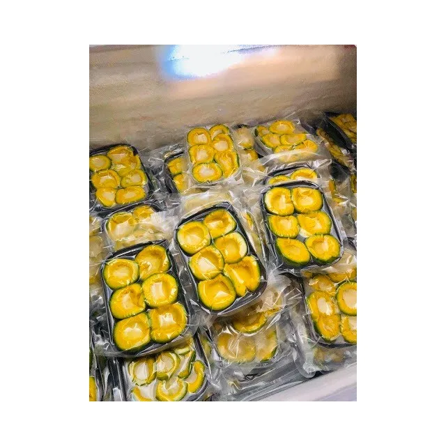 Top Quality Frozen Avocado Fruit HACCP ISO HALAL Certification  -18 Celsus degree booth 034