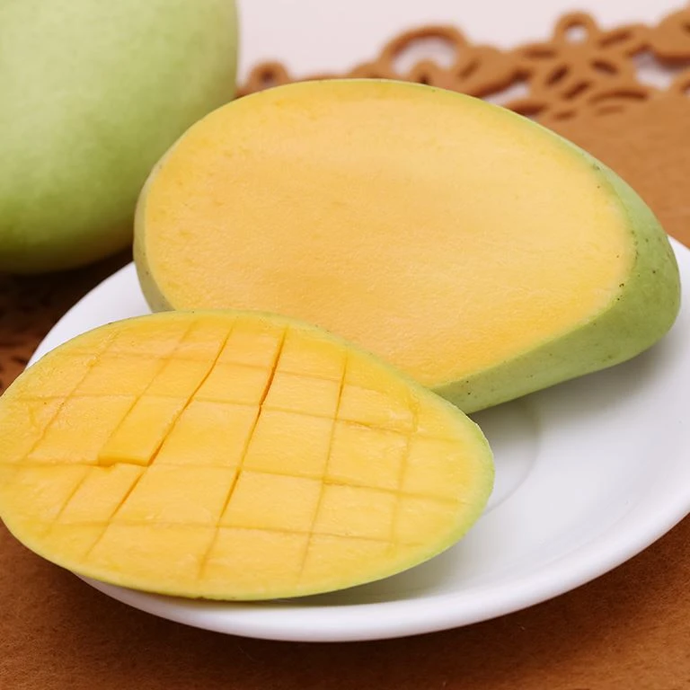 Best Selling Fresh Mangos Cat Chu Mango from Viet Nam High Quality Fresh Fruits