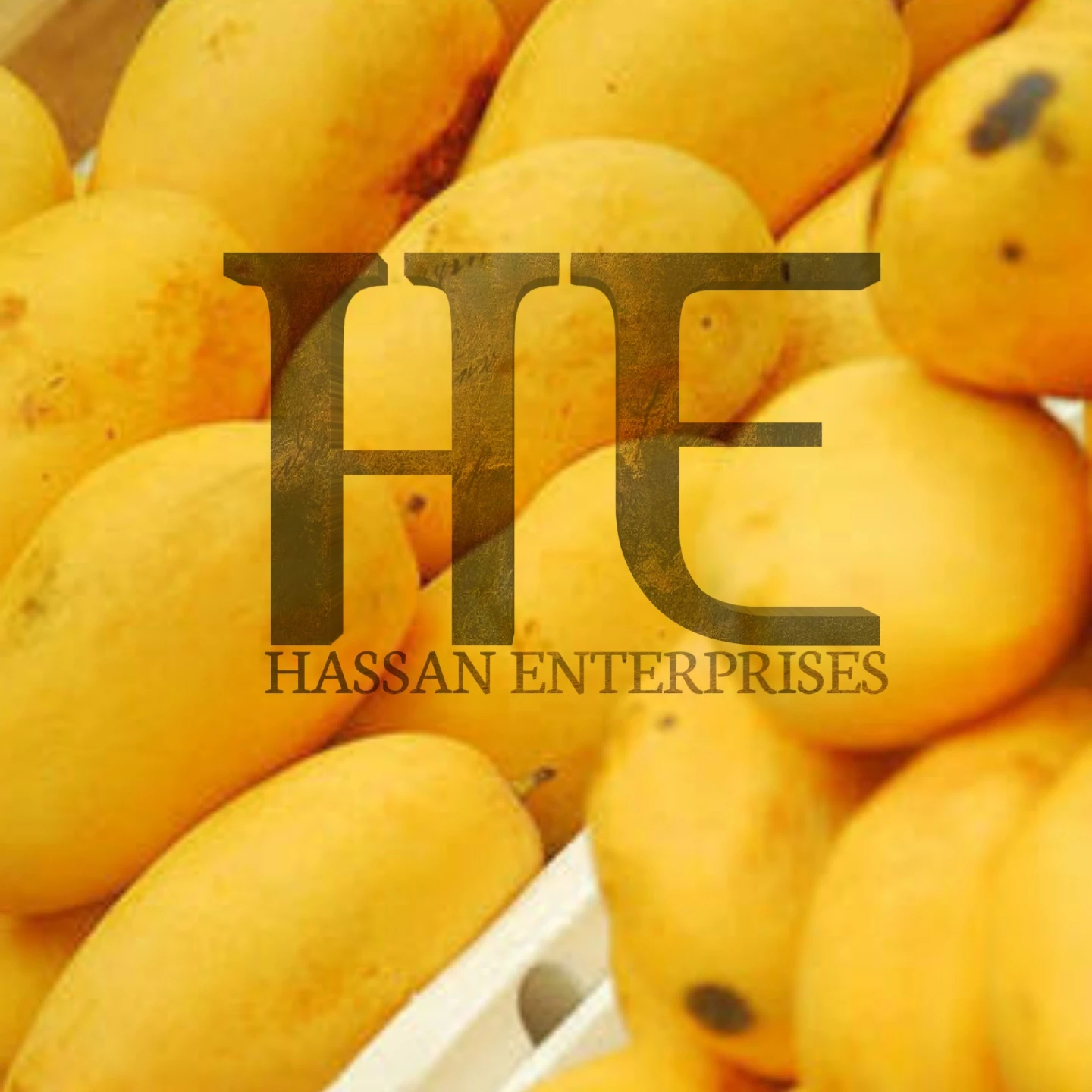 Mango Pakistani Sindhri Chaunsa Ready Export (Really Fresh)