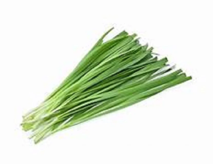 
FRESH SCALLIONS FOR SALE 