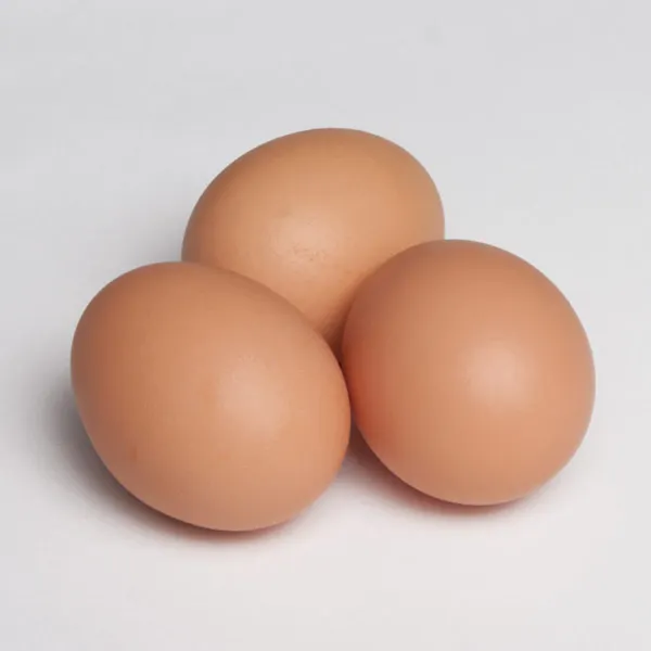 Top Quality White Shell Chicken Eggs at Wholesale Price