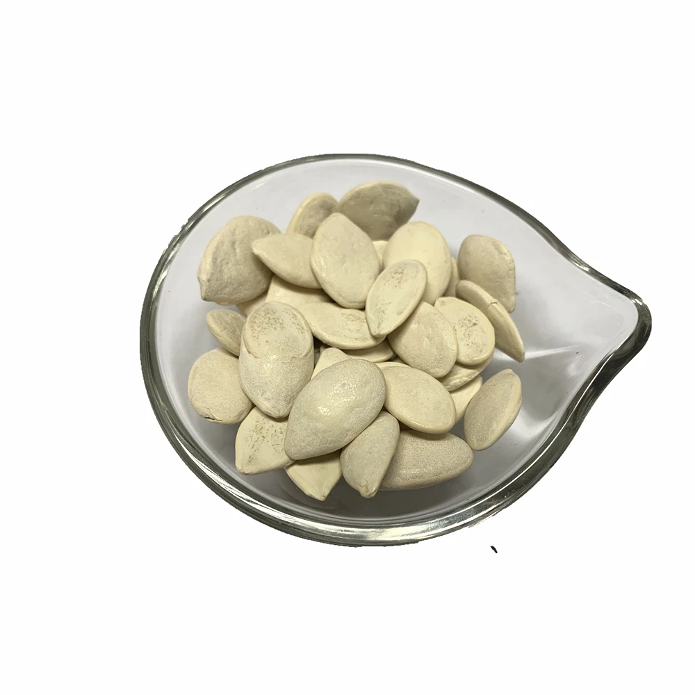 Pumpkin Seed Kernel Supplier Sells Organic Pumpkin Seeds