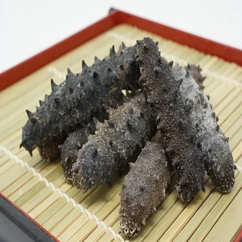 Natural Dried Sea Cucumber For Sale