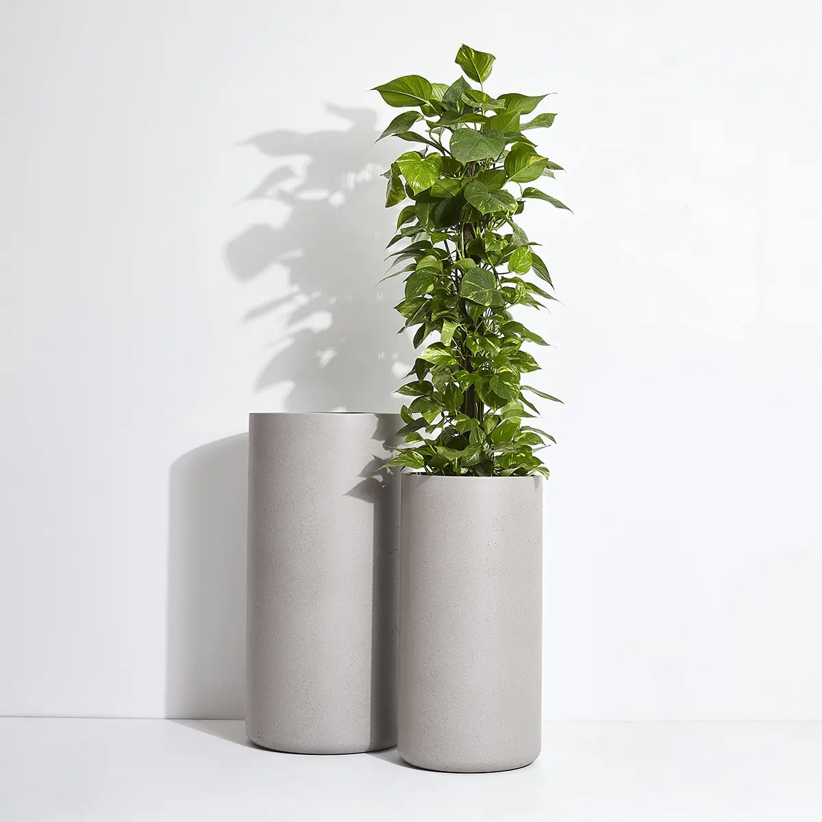 Flower pot planter shopping mall concrete vase blush pink color Natural smooth painting finishing artificial succulent plant