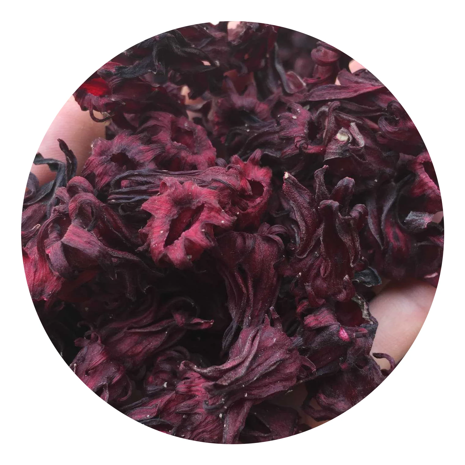 
Organic Dried Roselle From Thailand 