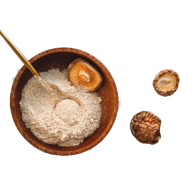 Оптовые цены экстракт грибов shiitake прямой порошок от производителя