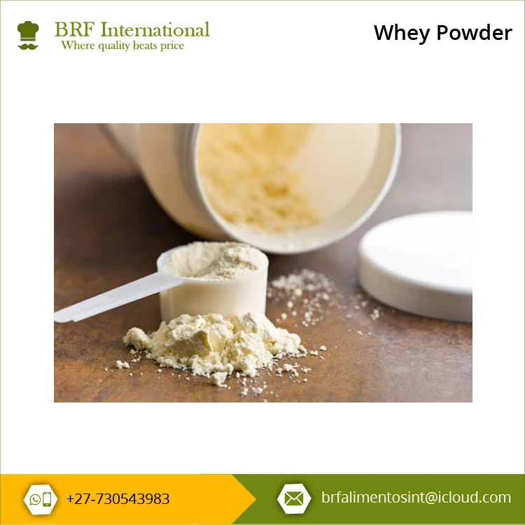 High Protein High Lactose Hot Selling Natural Pure Whey Powder for Refreshing Drinks