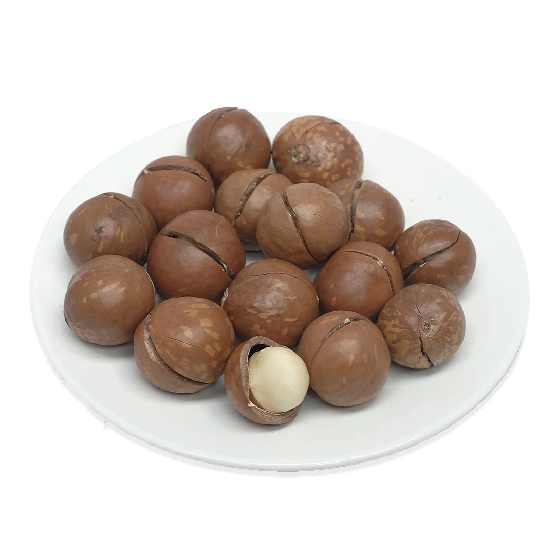 Сушеные Орехи макадамии ручной очистки размер 19-21 мм в вакуумном пакете из Вьетнама