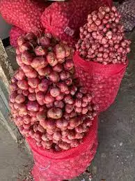 Onion Vegetables New Quality Fresh Yellow Crop Style GLOBAL GAP Weight Origin Type Shape Size Product Place Model HACCP Round