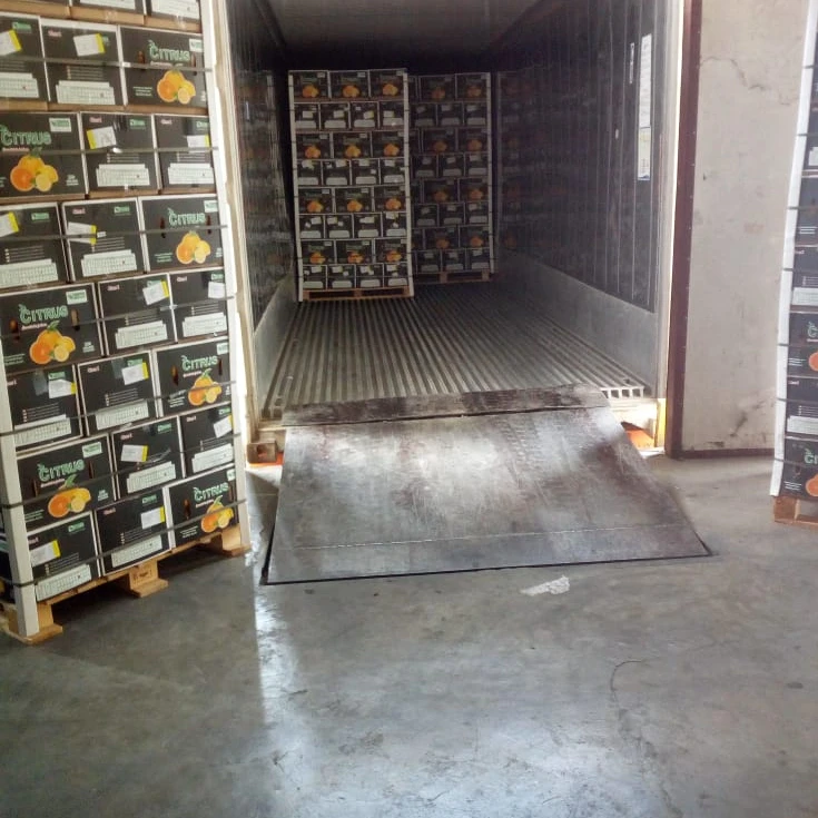 100% Natural Sweet Fresh Navel Orange