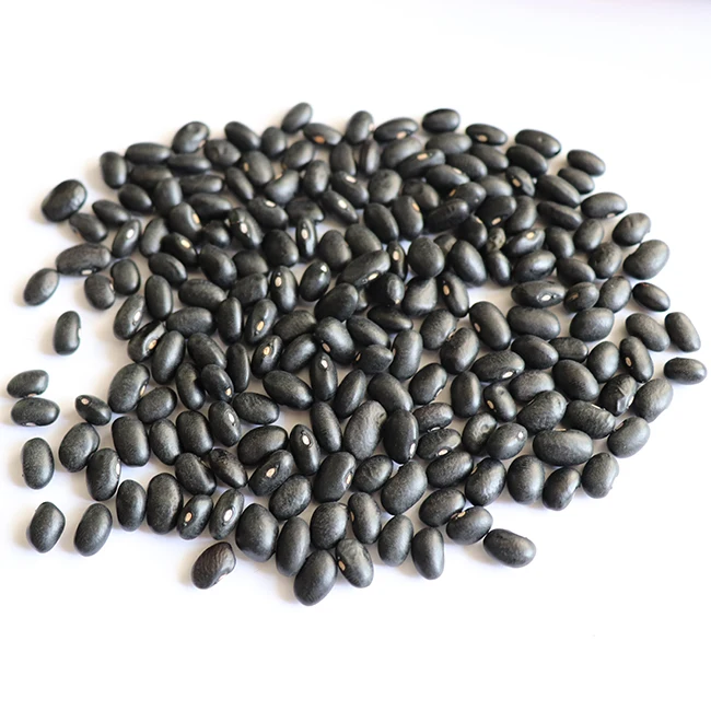 
2021 new crop black beans for sale  (1700005551980)