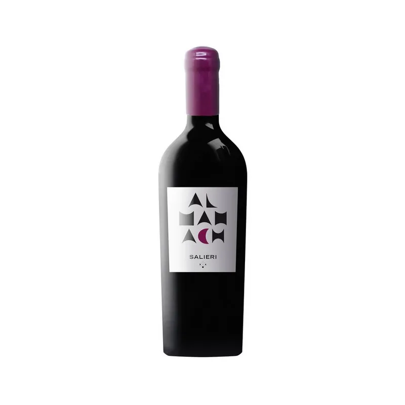 Made in Italy Top Quality Salieri Almanach Colli Euganei Red Wine 0,75L Ready to Ship Table Wine beverage