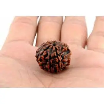 Wholesale Natural 6 six Mukhi  Rudraksha Jap Mala Manufacturer Handcraft Handmade Product India 2021 Jap mala rudraksh