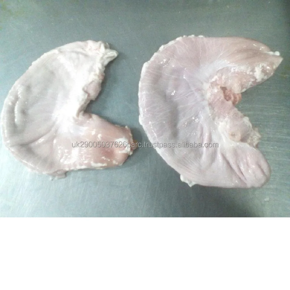 Frozen Pork Whole heads with Ears, With Cheek Meat