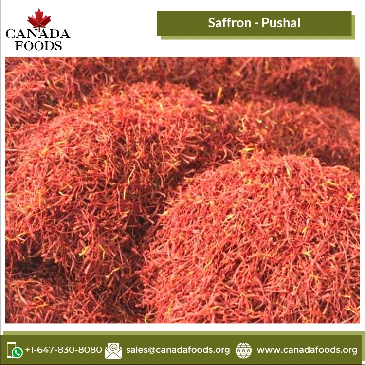 Top Listed Dealer of 100% Natural Pure Pushal Saffron with 2 Year Shelf Life