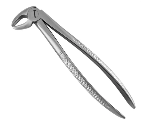Premium Quality Extracting Forceps Fig 4 English Pattern Stainless Steel Non Slip Jaws