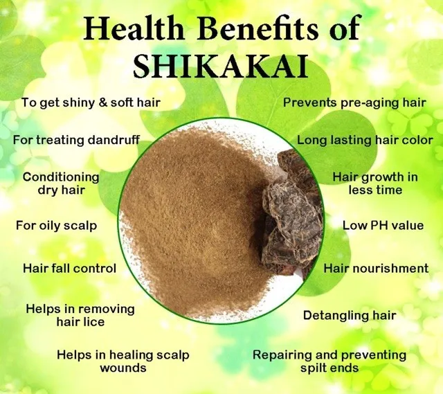 Shikakai Organic Powder also known as Acacia concinna