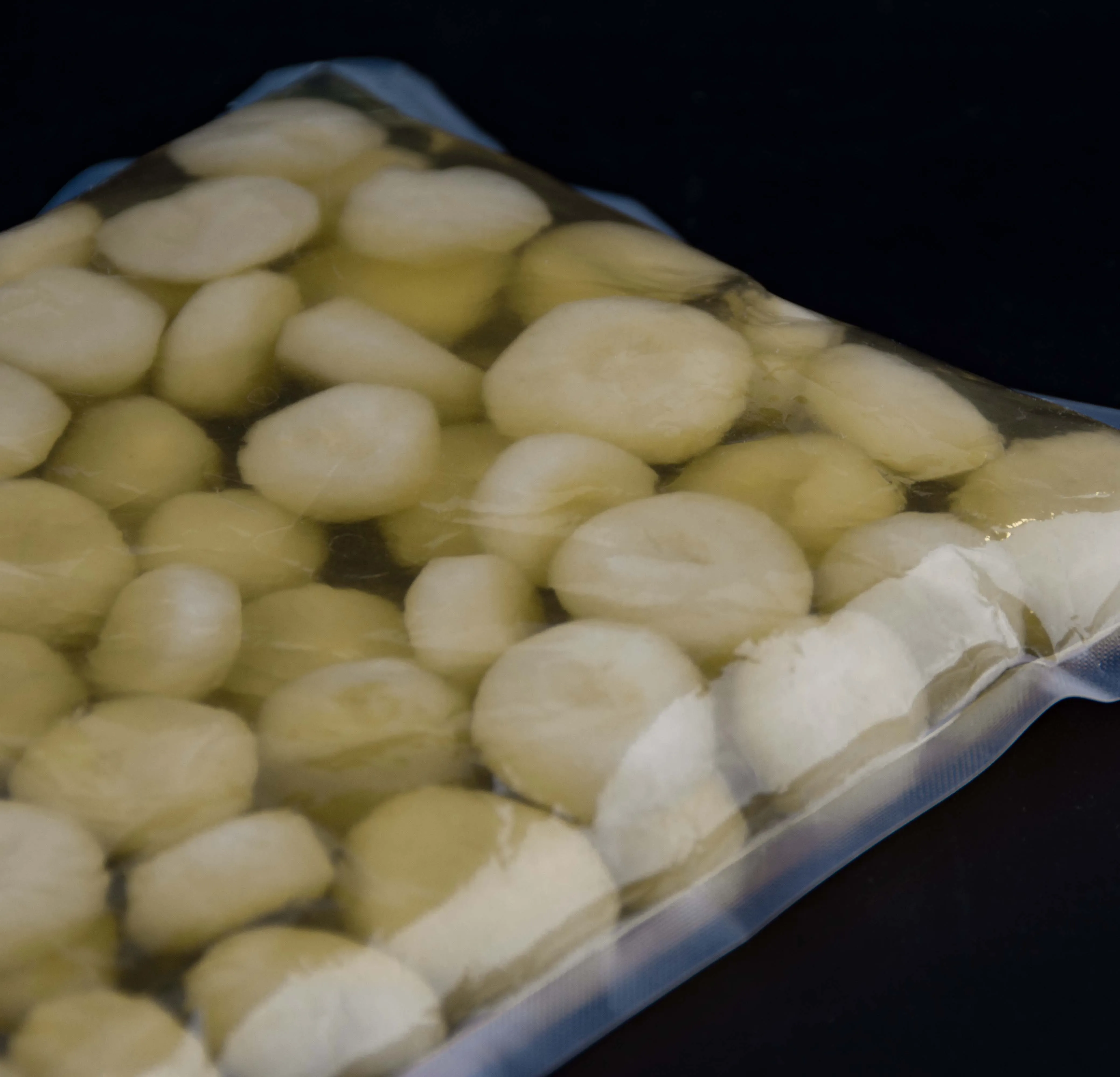 Water Chestnuts in Brine Top Quality Non GMO