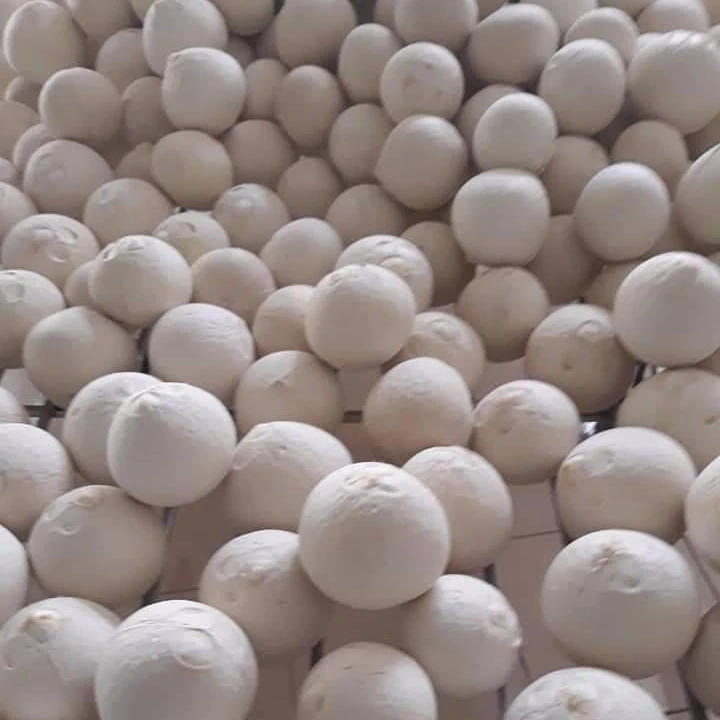 Продаем все виды кокосов из Вьетнама по лучшей цене