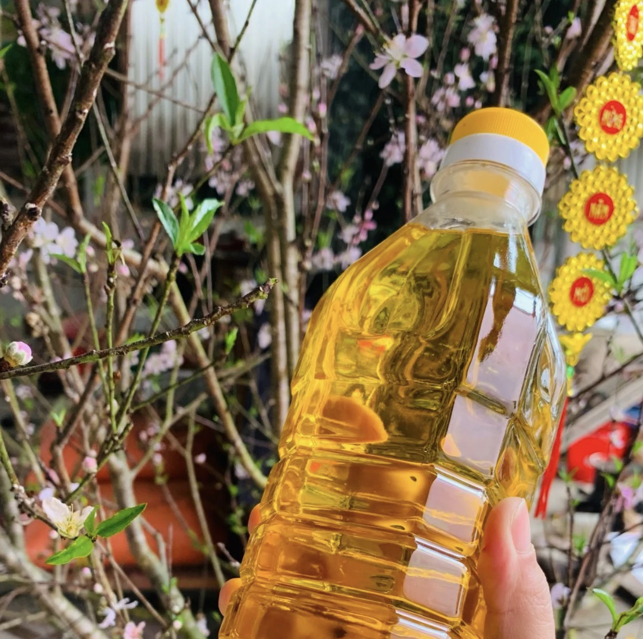 Refined   Soybean Oil For Cooking / Soybean Oil Bulk Price Yellow Light Bottle