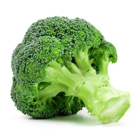 Wholesale Best Quality Fresh Broccoli For Sale In Cheap Price