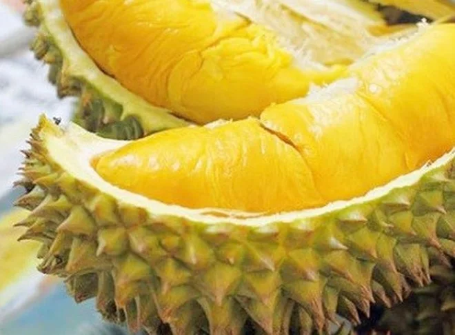 Wholesale Frozen Durian