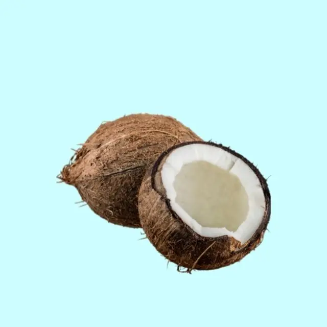 Полуочищенный кокос оптовая продажа свежий по низкой цене