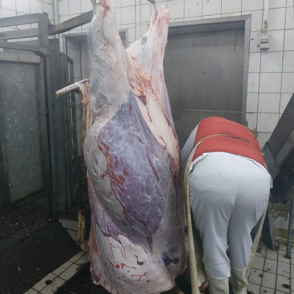 FRESH PROCESSING DRIED BEEF LEATHER HIGH QUALITY BEEF LEATHER ORIGIN MONTENEGRO