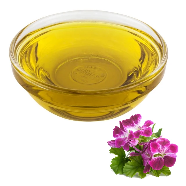 Bulk supplier of Therapeutic Grade Rose Geranium Oil Diffuser and Skin Care steam distilled geranium oil 100% pure essential oil