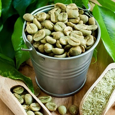  Вьетнамские зеленые кофейные зерна robusta-напиток для похудения-Whatsapp: +