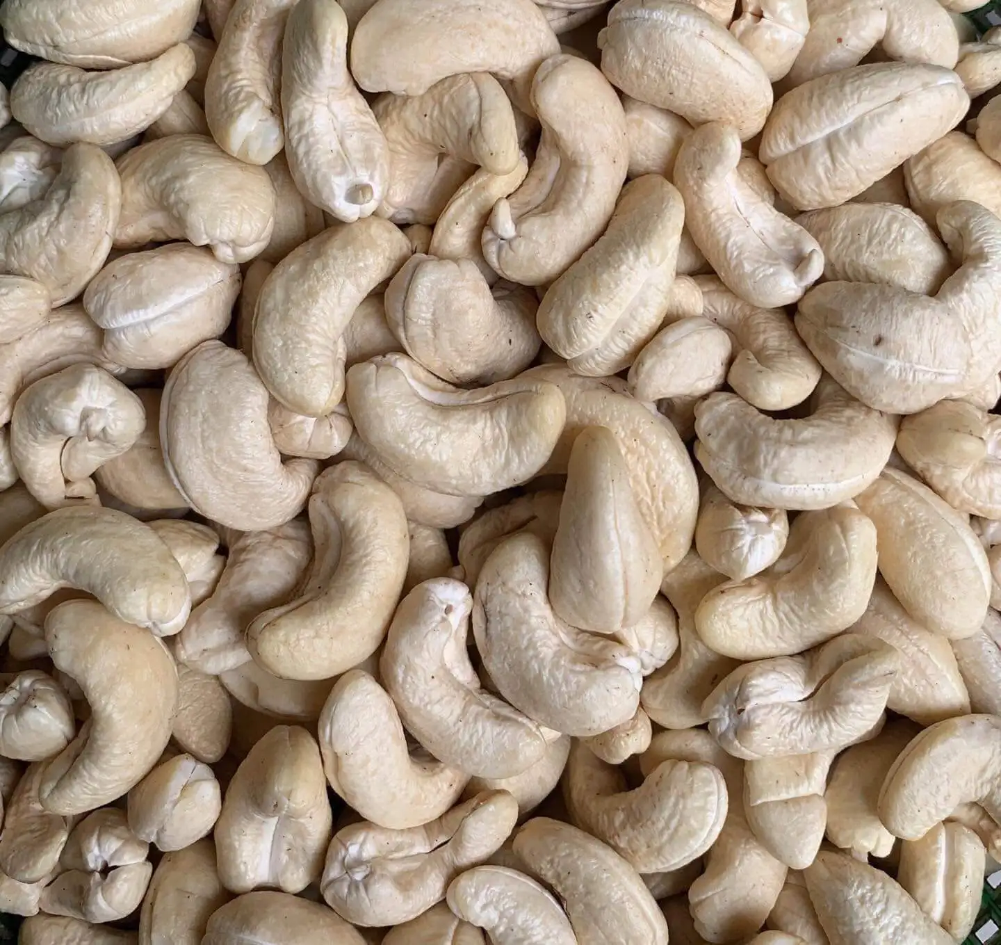 Вьетнам заводская цена Премиум качество кешью орехи W180- W240- W320- W450 без скорлупы.