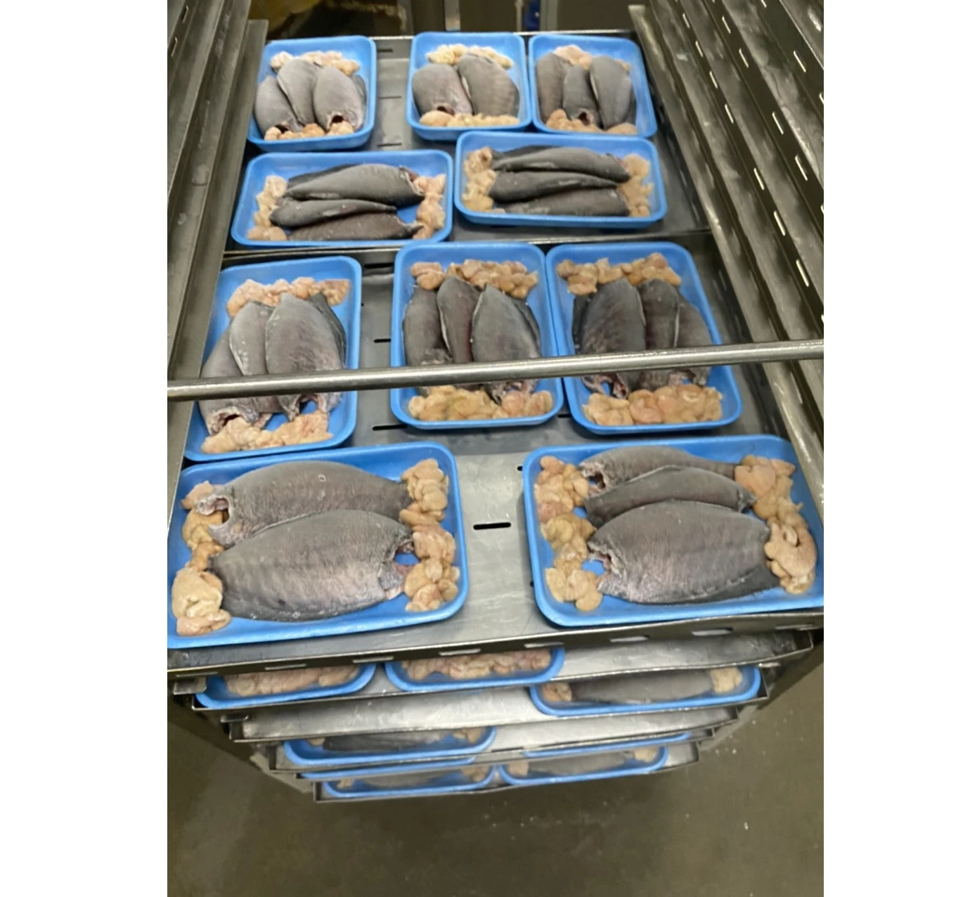 Seafood Frozen Fresh Fish Tlapia 300G To 500G Whole Clean Kosher Wr 4Kg Black Tilapia On Sale
