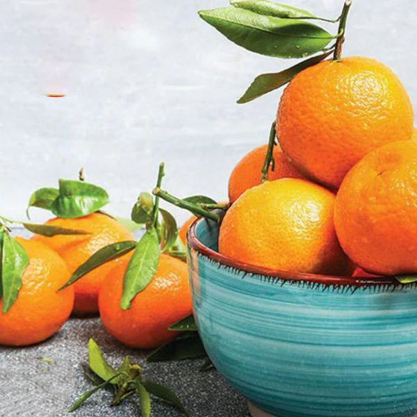 wholesale fresh mandarin Kinnow orange manufacturers