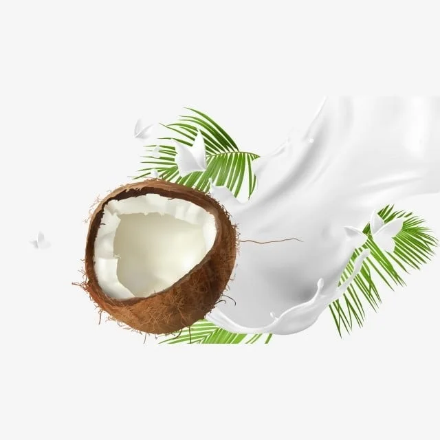 Coconut - Coconut Fresh Indian coconut is simply the best