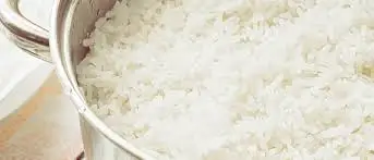 Rice Grain