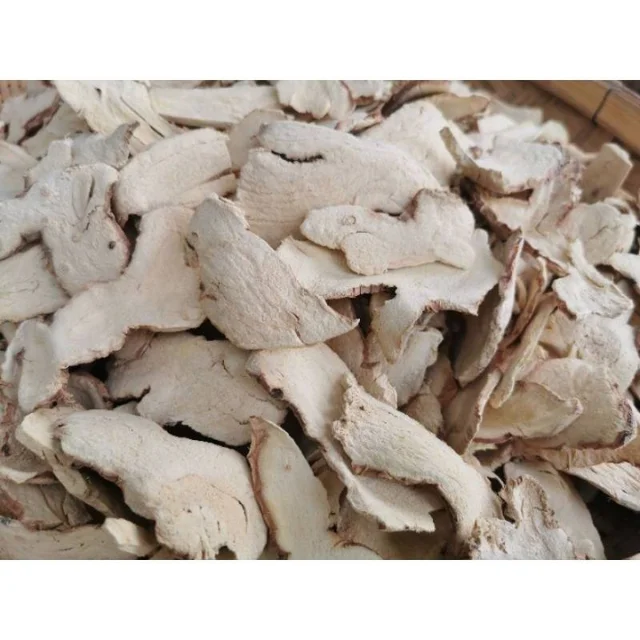 The best price of Dried Galangal slices in water as herb and health supplement good for your blood From Thailand