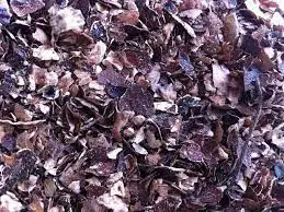 Хорошая цена на кешью шелухи для корма/Жасмин + 84 896679047