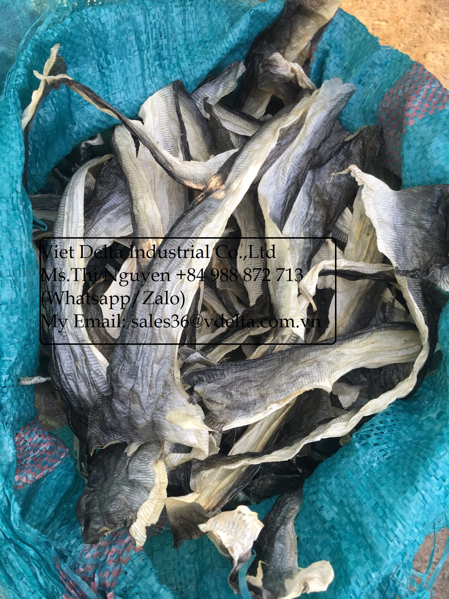 FRIED FISH SKIN HIGH QUALITY / SALMON FISH SKIN FROM VIETNAM / Ms.Thi Nguyen +84 988872713