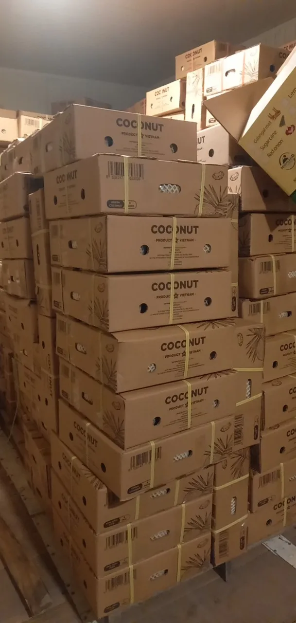 Овальная кокосовая вода Linecut Xiem