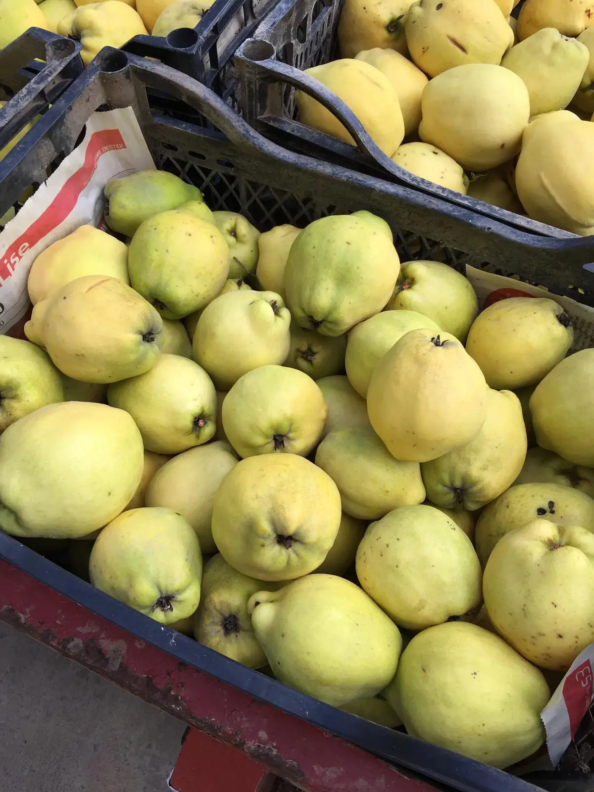 Quince Jam %100 Naturel Best Quality  Pure 400 Gr Beet Sugar Whosale Best Price From Turkey