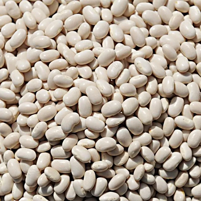 
New Crop Premium High Quality speckled light white kidney beans 