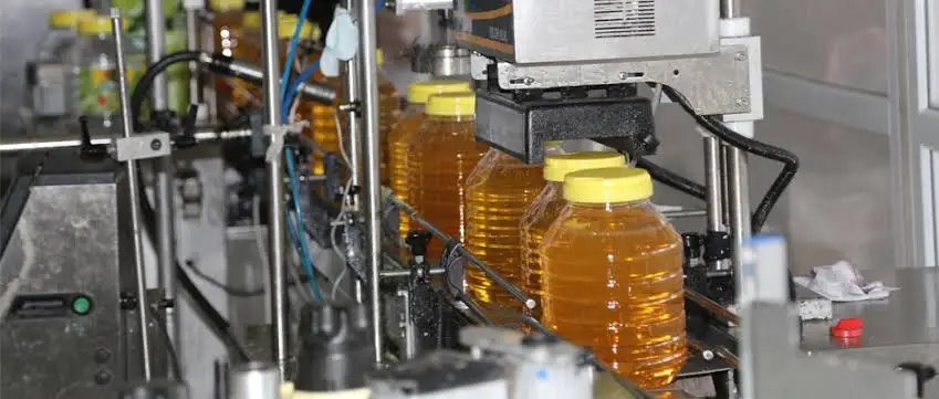 
Organic Oil Hazelnut Oil Refined Organic Original Turkish 100 Purity 100% Pure Cold Pressed Glass Bottle Light Yellow from TR 