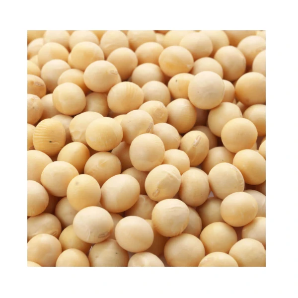 Wholesale Soybean Seeds Non GMO Soybean Seed Price Natural Organic Soybeans Price for Sale