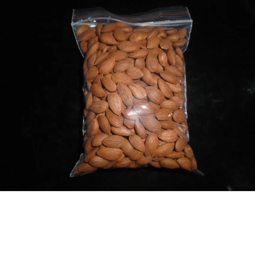 Apricot-seeds.jpg