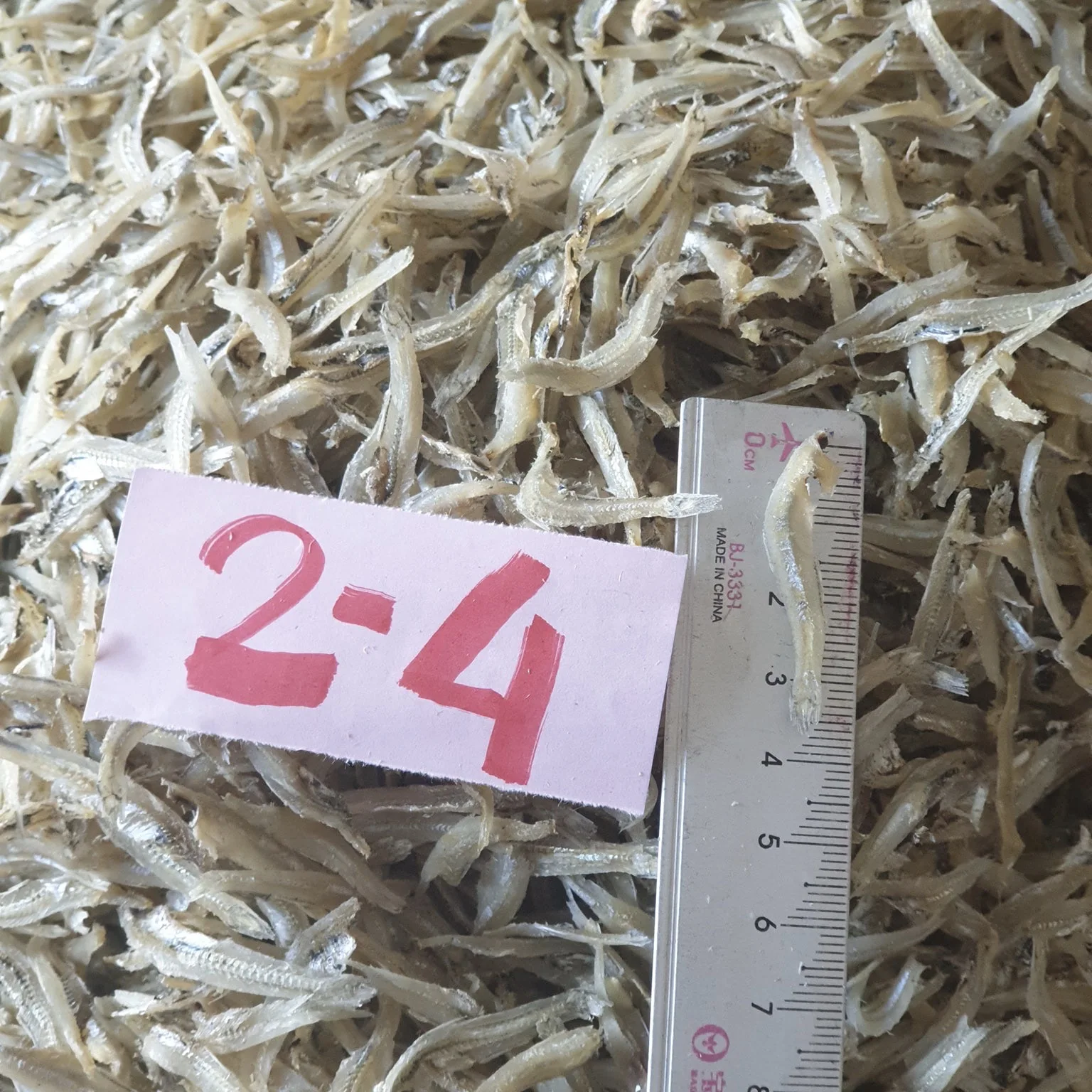 Top Quality dried fish maw/anchovy fish/seafood